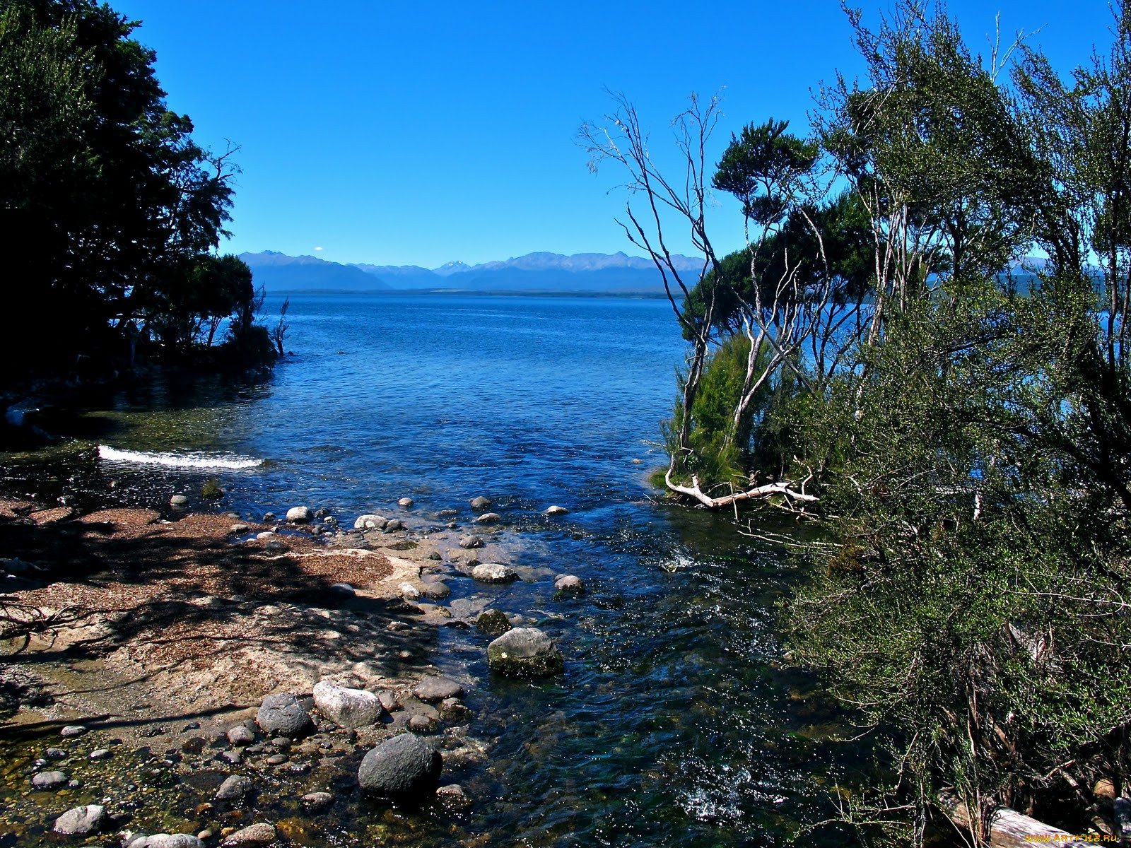 , , , fiordland